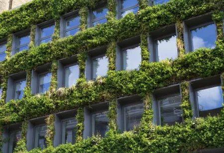 STOCK Green wall vertical garden with lush foliage on building exterior.jpg