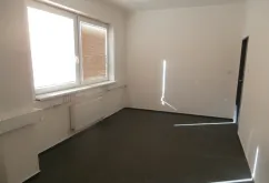 Skladový prostor - OSTRAVA - volná jednotka 610 m2 ihned k dispozici - Přívoz (3)