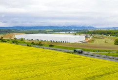 Skladový prostor - CHEB - 21 000 m2 k dispozici - Obilná (2)