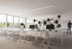 Skladový prostor - TACHOV Industrial Park - nový sklad již od 2 500 m2 - Oldřichov (4)