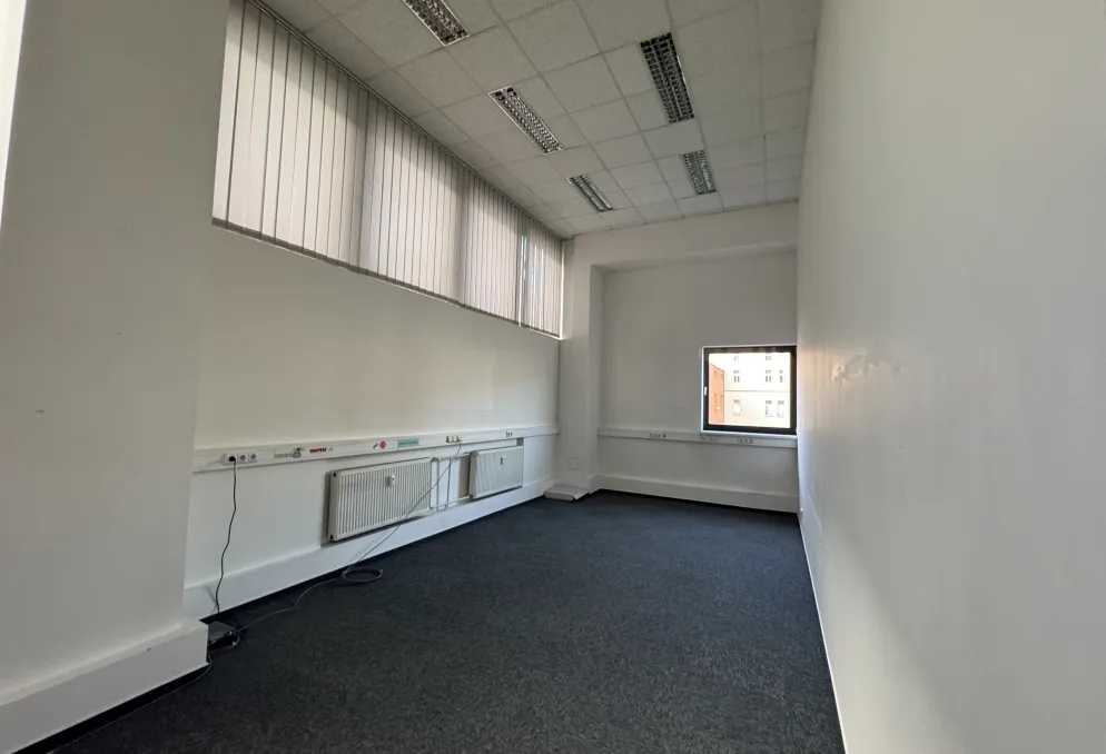 Skladový prostor - Skladové prostory - JANKOVCOVA - prostor 240 m2 - Holešovice (2)