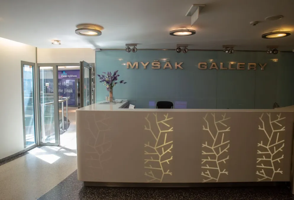 Kancelář - Myšák Gallery - PODZEMNÍ GARÁŽE V CENTRU - Poslední VOLNÉ JEDNOTKY - Praha 1 (4)