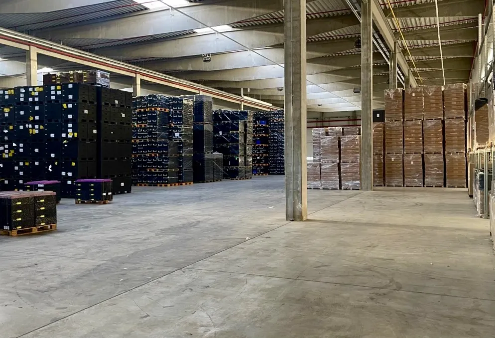 Skladový prostor - ZÁPY - ihned k dispozici 270 m2 - Zápy (8)