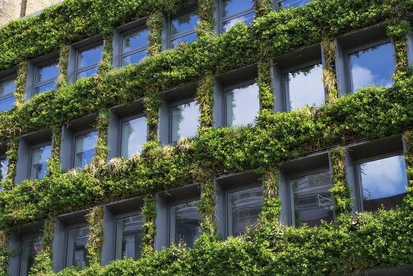 STOCK Green wall vertical garden with lush foliage on building exterior.jpg