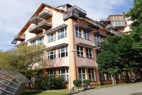 Hvězda Petřiny I.